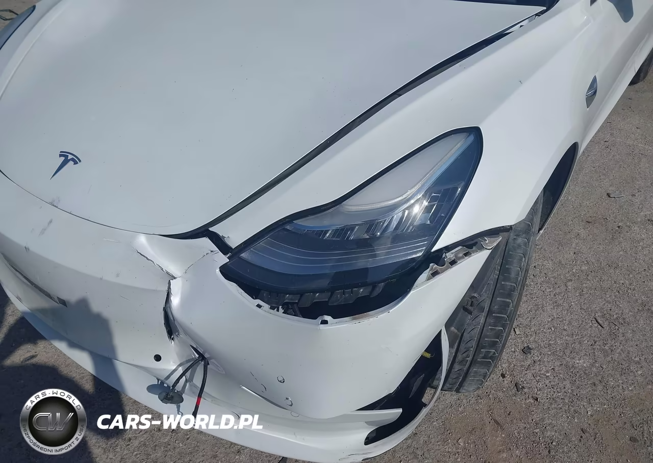 2020 Tesla Model 3 Standard Range Plus Rear-Wheel Drive-Standard Range Rear-Wheel Drive VIN:5YJ3E1EA7LF504430 - 6