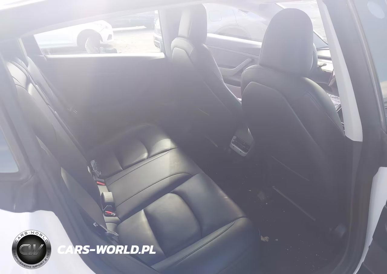 2020 Tesla Model 3 Standard Range Plus Rear-Wheel Drive-Standard Range Rear-Wheel Drive VIN:5YJ3E1EA7LF504430 - 8