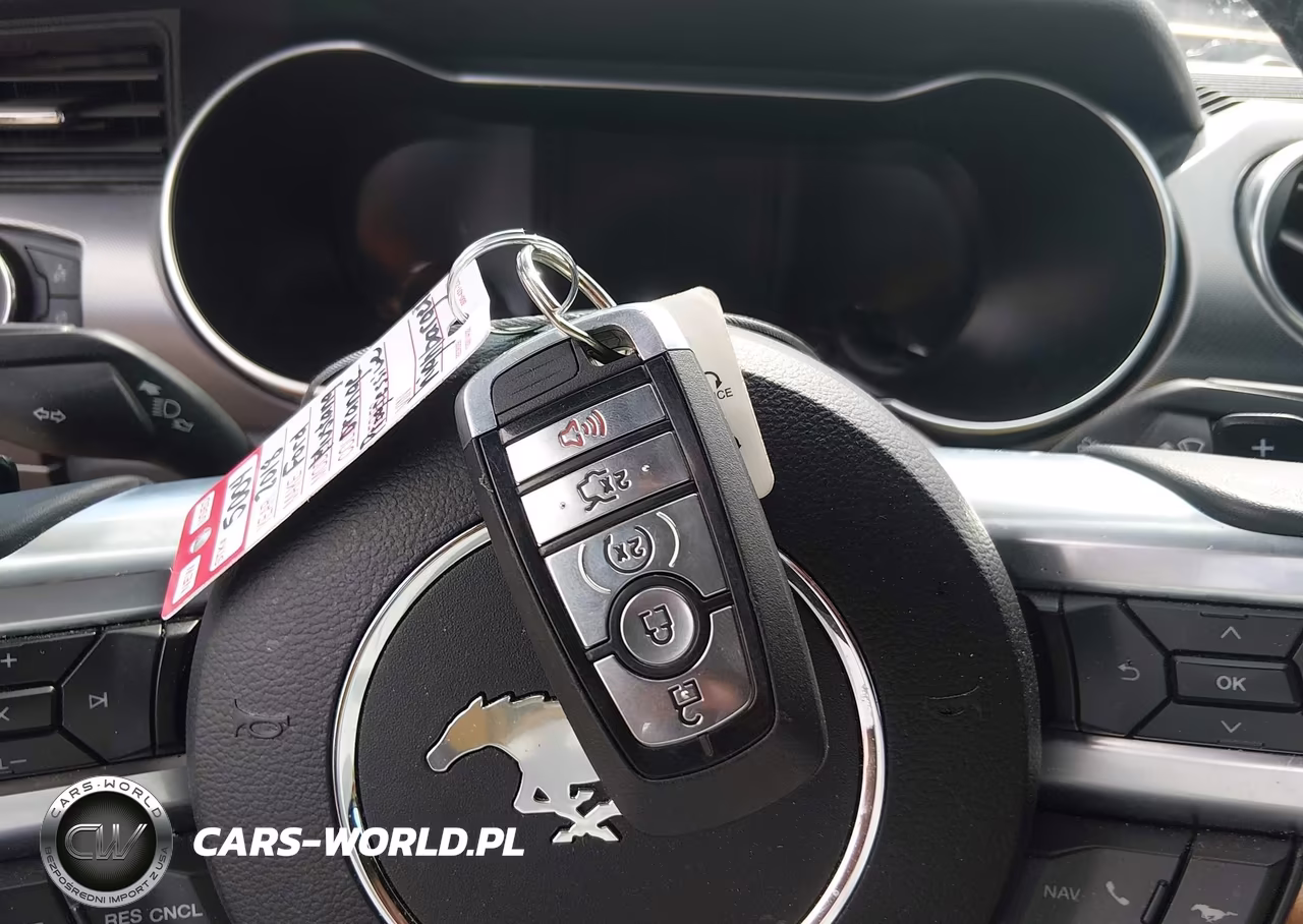 2018 Ford Mustang Ecoboost VIN:1FA6P8TH7J5166516 - 11
