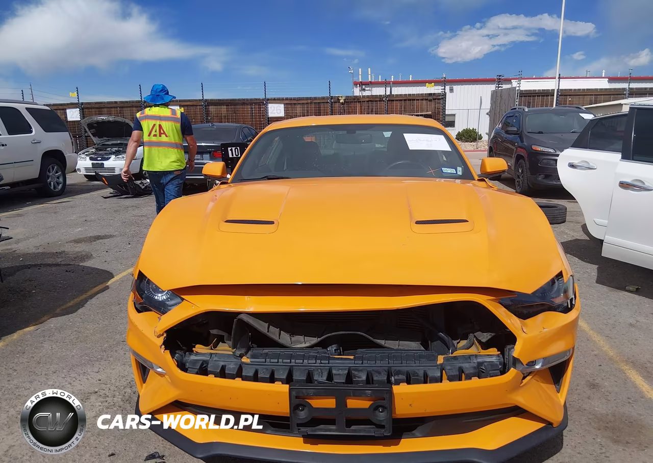 2018 Ford Mustang Ecoboost VIN:1FA6P8TH7J5166516 - 13
