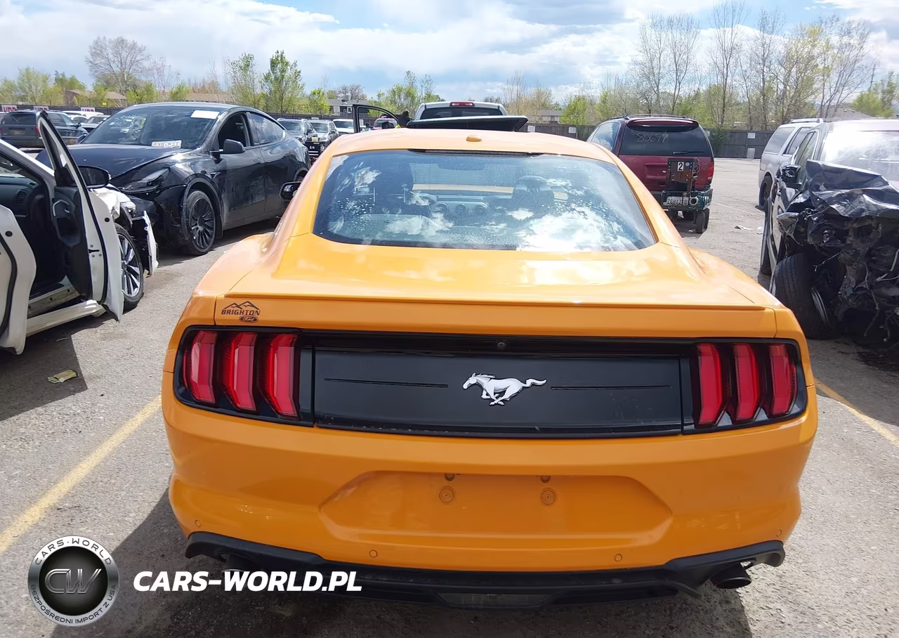2018 Ford Mustang Ecoboost VIN:1FA6P8TH7J5166516 - 17