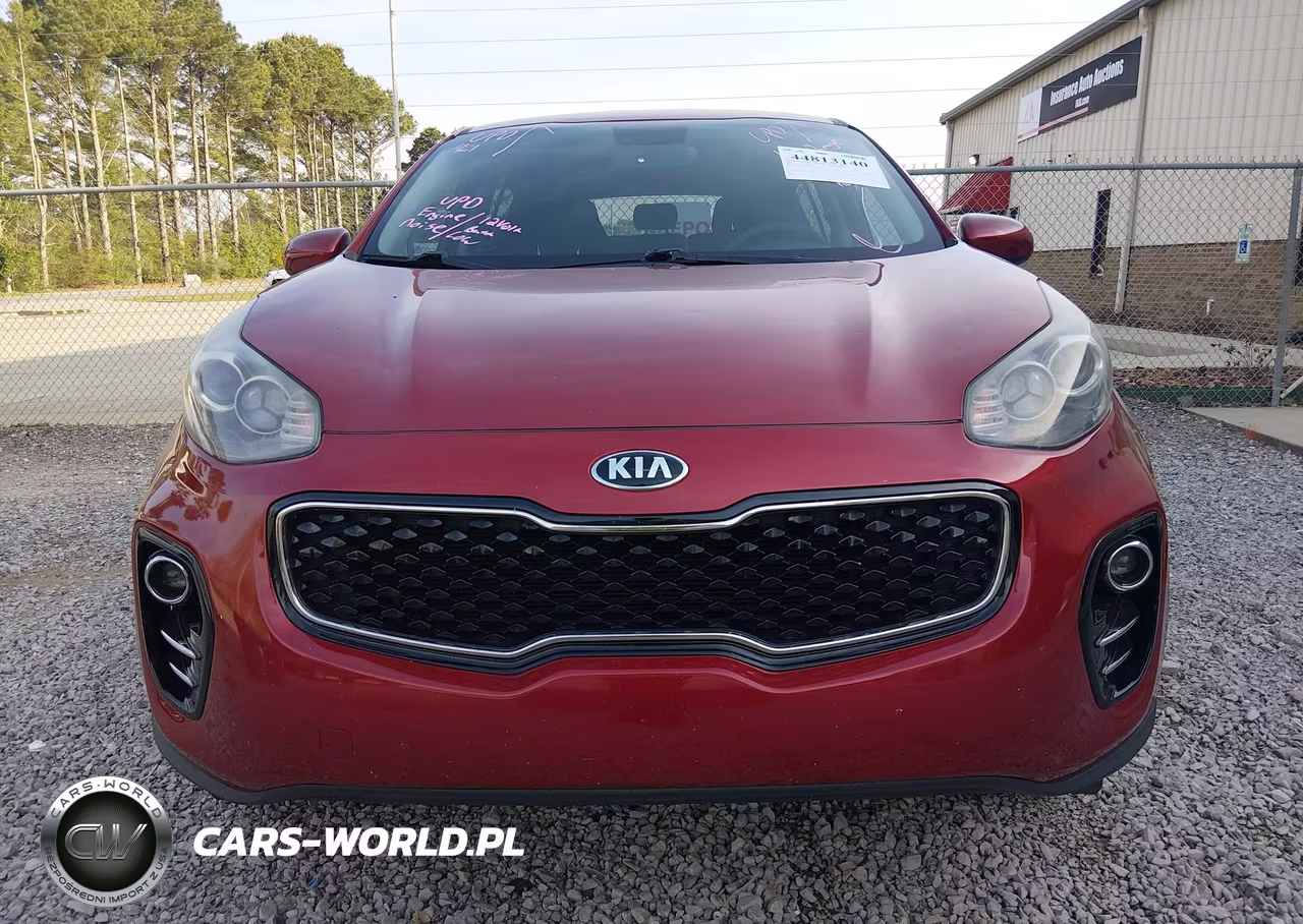 2019 Kia Sportage Lx VIN:KNDPMCACXK7499011 - 13