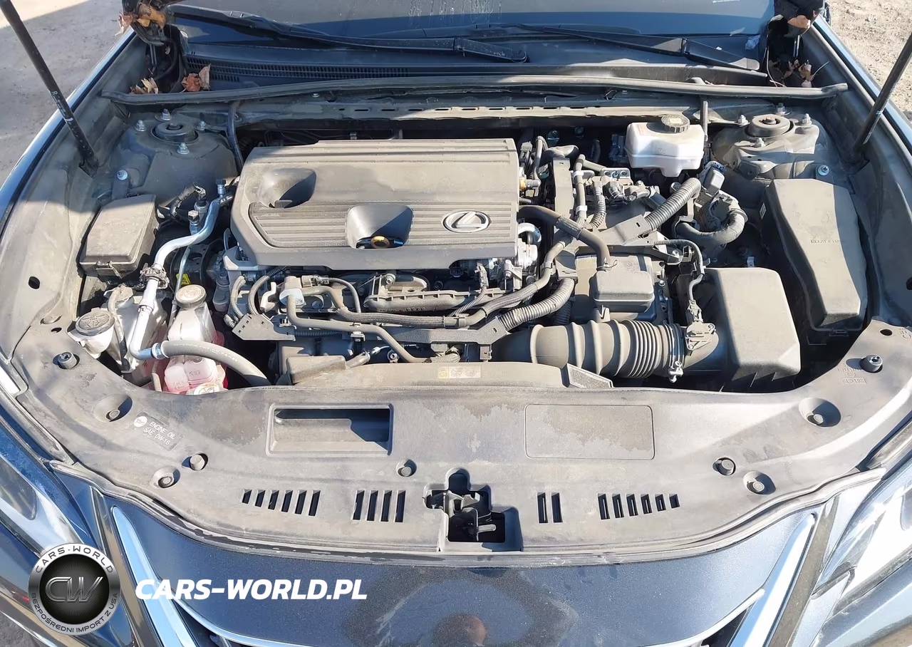 2023 Lexus Es 300H VIN:58ADA1C1XPU033930 - 10