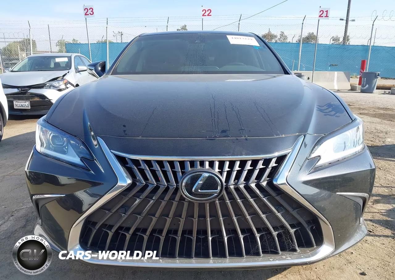 2023 Lexus Es 300H VIN:58ADA1C1XPU033930 - 12