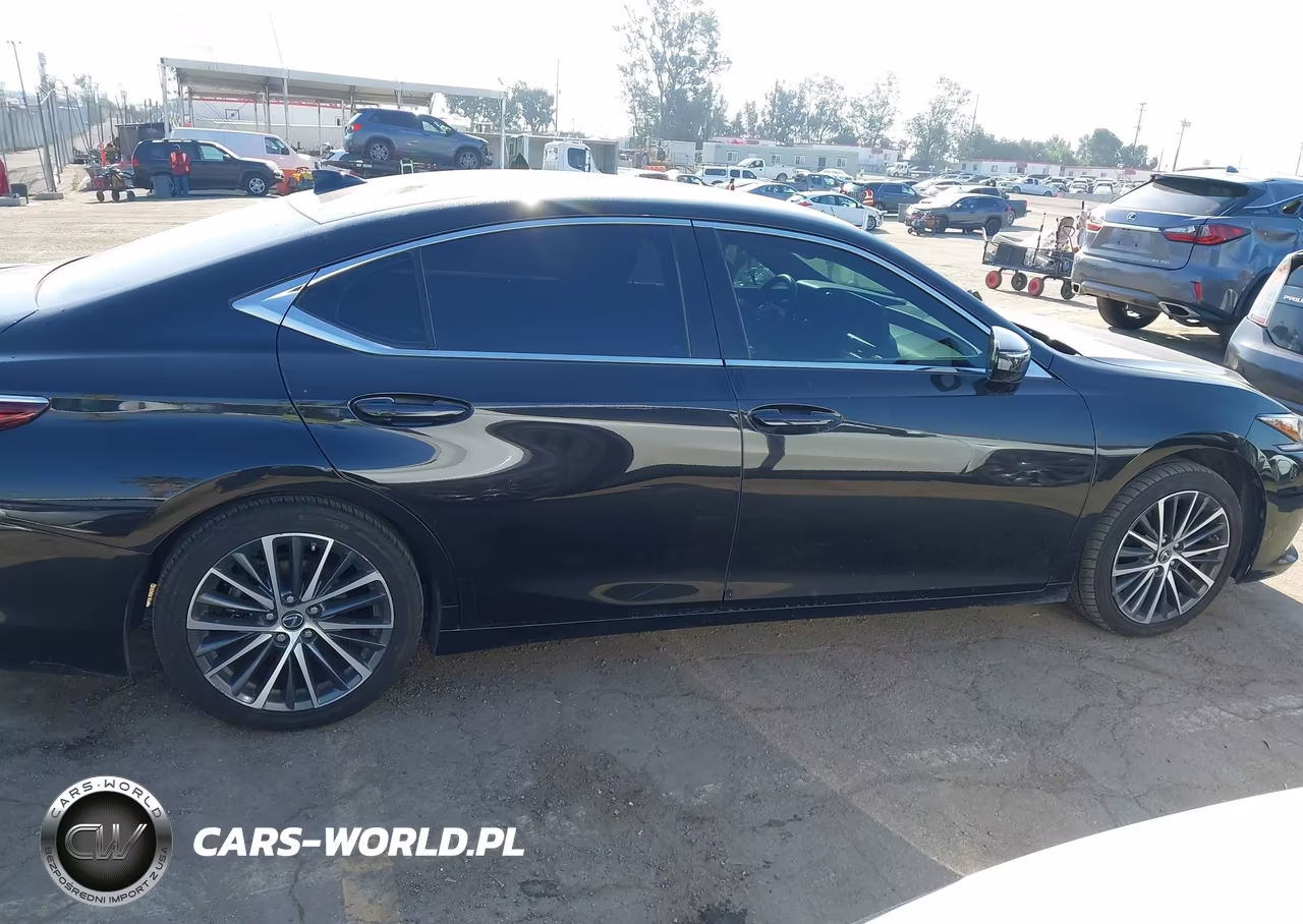 2023 Lexus Es 300H VIN:58ADA1C1XPU033930 - 13