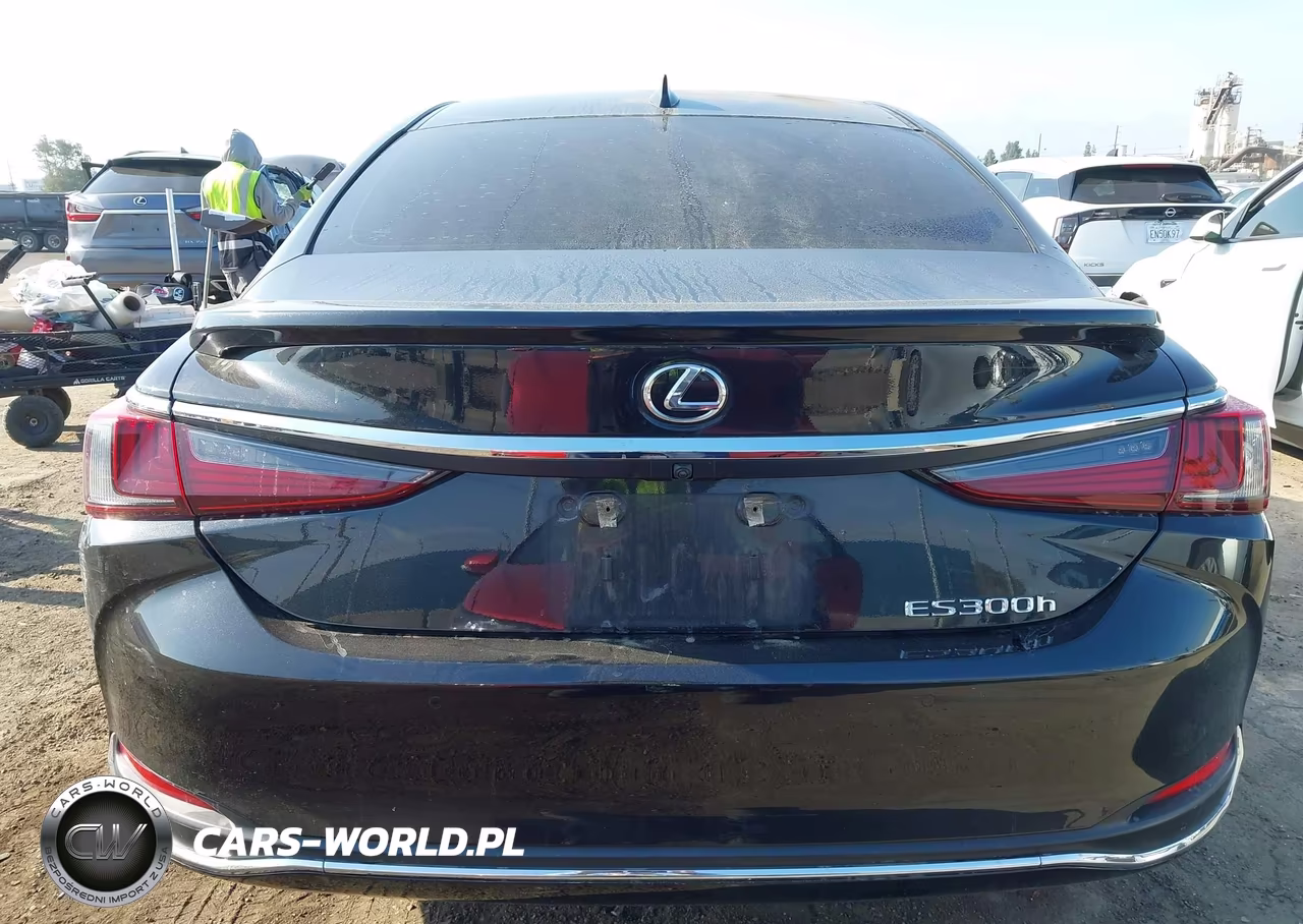 2023 Lexus Es 300H VIN:58ADA1C1XPU033930 - 16