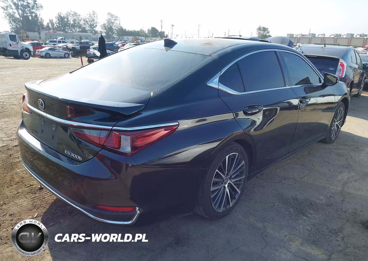 2023 Lexus Es 300H VIN:58ADA1C1XPU033930 - 4