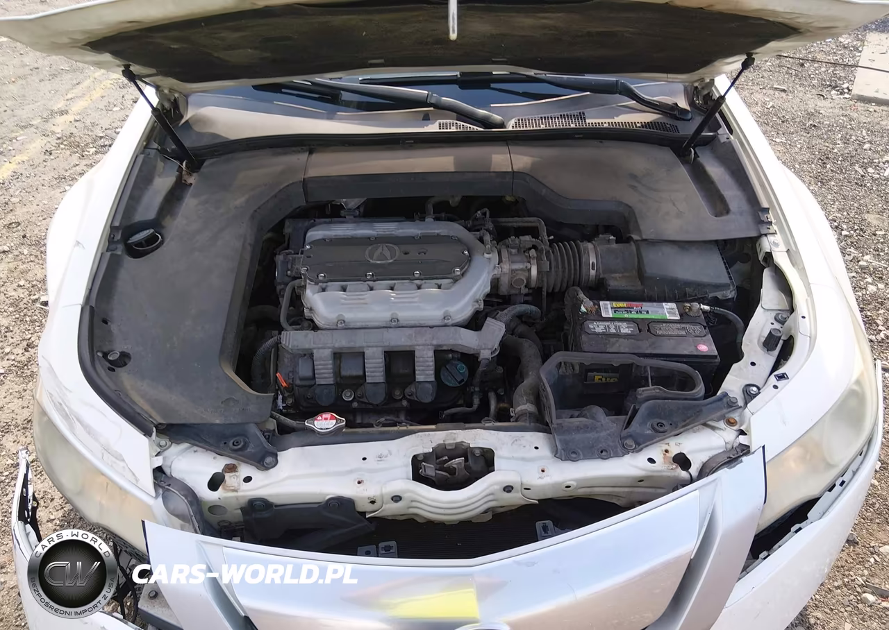 2009 Acura Tl 3.5 VIN:19UUA86569A007267 - 10