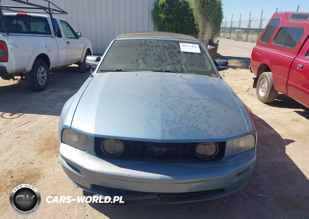 2008 Ford Mustang Gt Deluxe-Gt Premium VIN:1ZVHT85H185116911 - 12