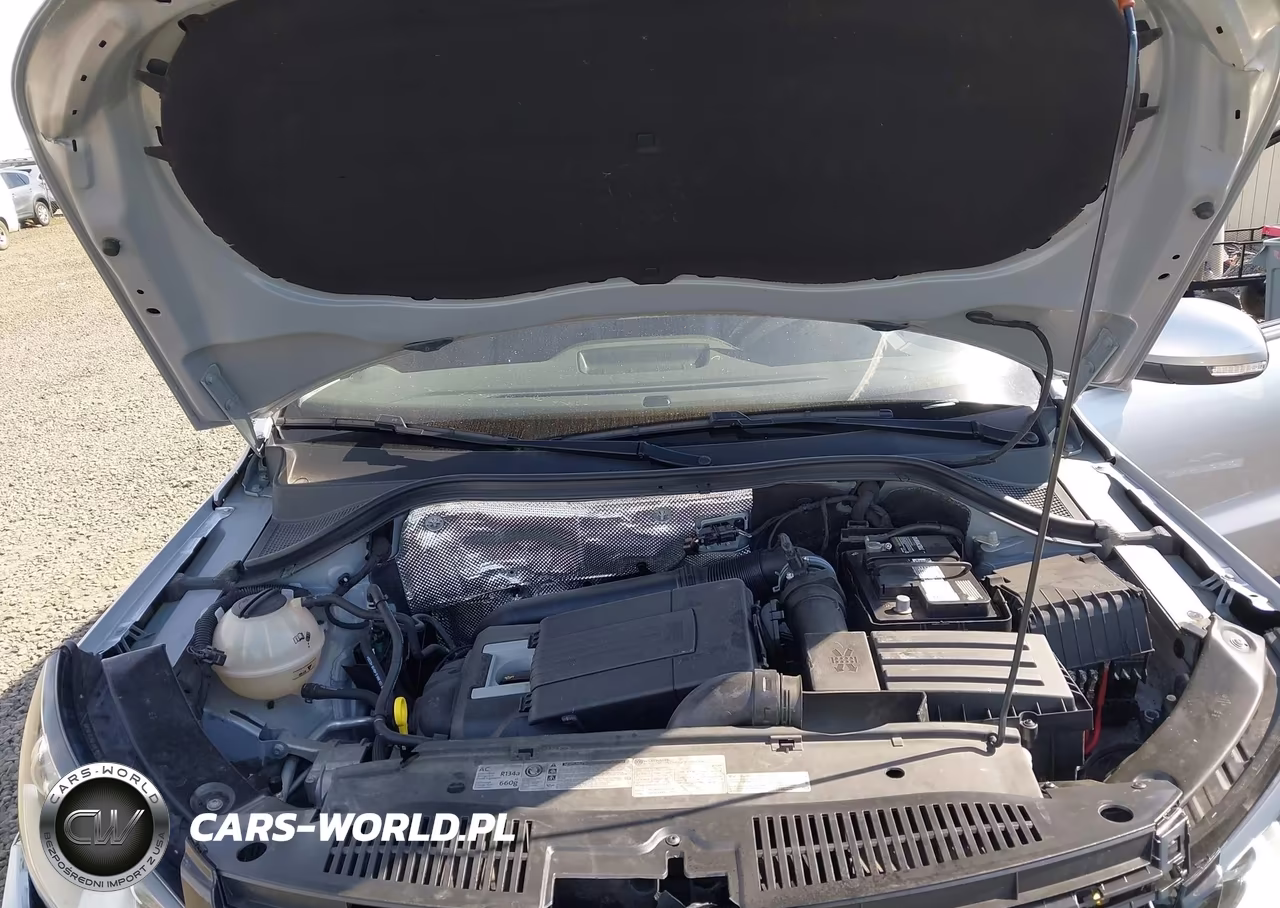 2017 Volkswagen Tiguan 2.0T-2.0T S VIN:WVGBV7AX0HK027063 - 10