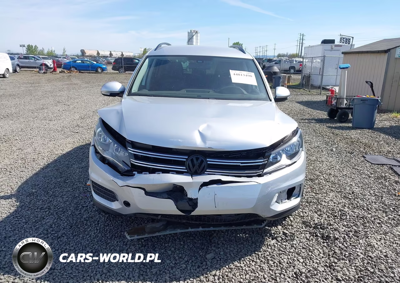 2017 Volkswagen Tiguan 2.0T-2.0T S VIN:WVGBV7AX0HK027063 - 12