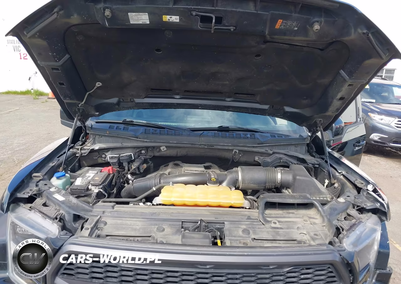 2017 Ford F-150 Raptor VIN:1FTFW1RGXHFC92375 - 10