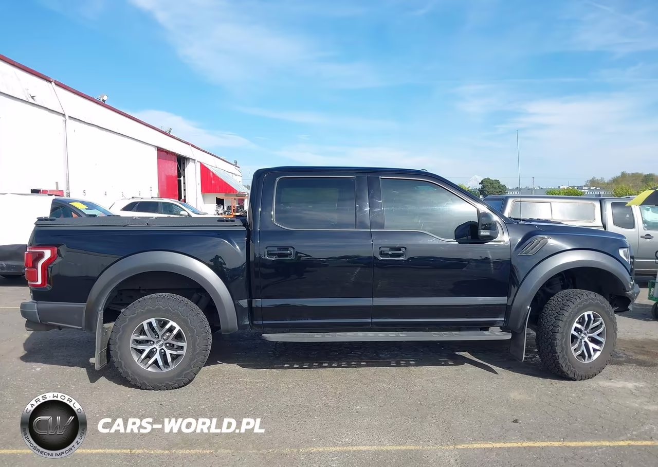 2017 Ford F-150 Raptor VIN:1FTFW1RGXHFC92375 - 13