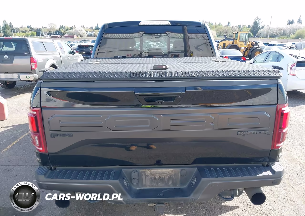 2017 Ford F-150 Raptor VIN:1FTFW1RGXHFC92375 - 16