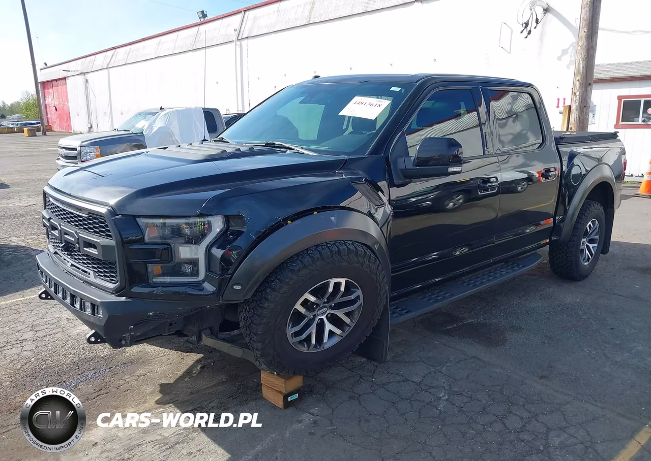2017 Ford F-150 Raptor VIN:1FTFW1RGXHFC92375 - 2