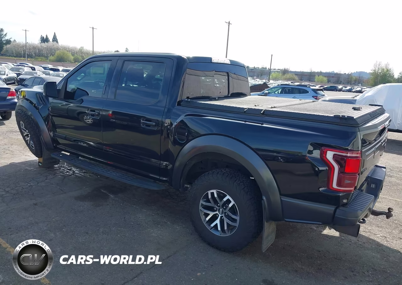2017 Ford F-150 Raptor VIN:1FTFW1RGXHFC92375 - 3