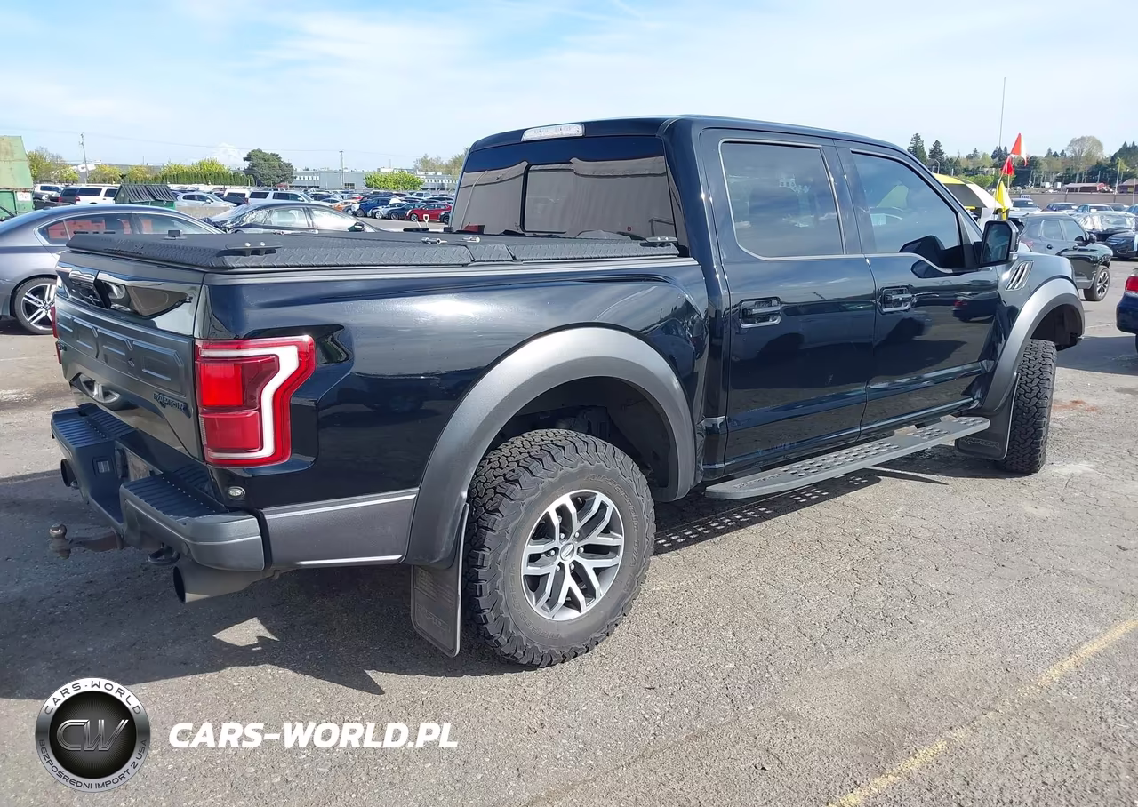 2017 Ford F-150 Raptor VIN:1FTFW1RGXHFC92375 - 4