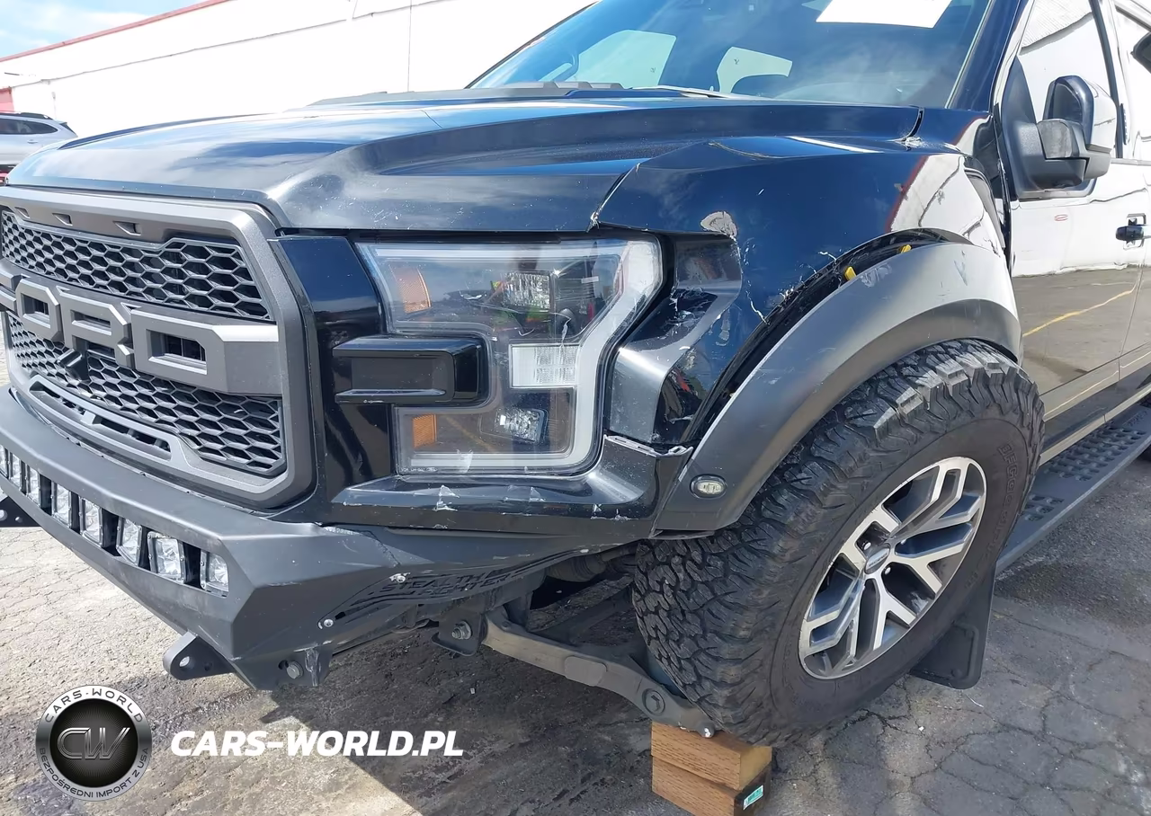 2017 Ford F-150 Raptor VIN:1FTFW1RGXHFC92375 - 6