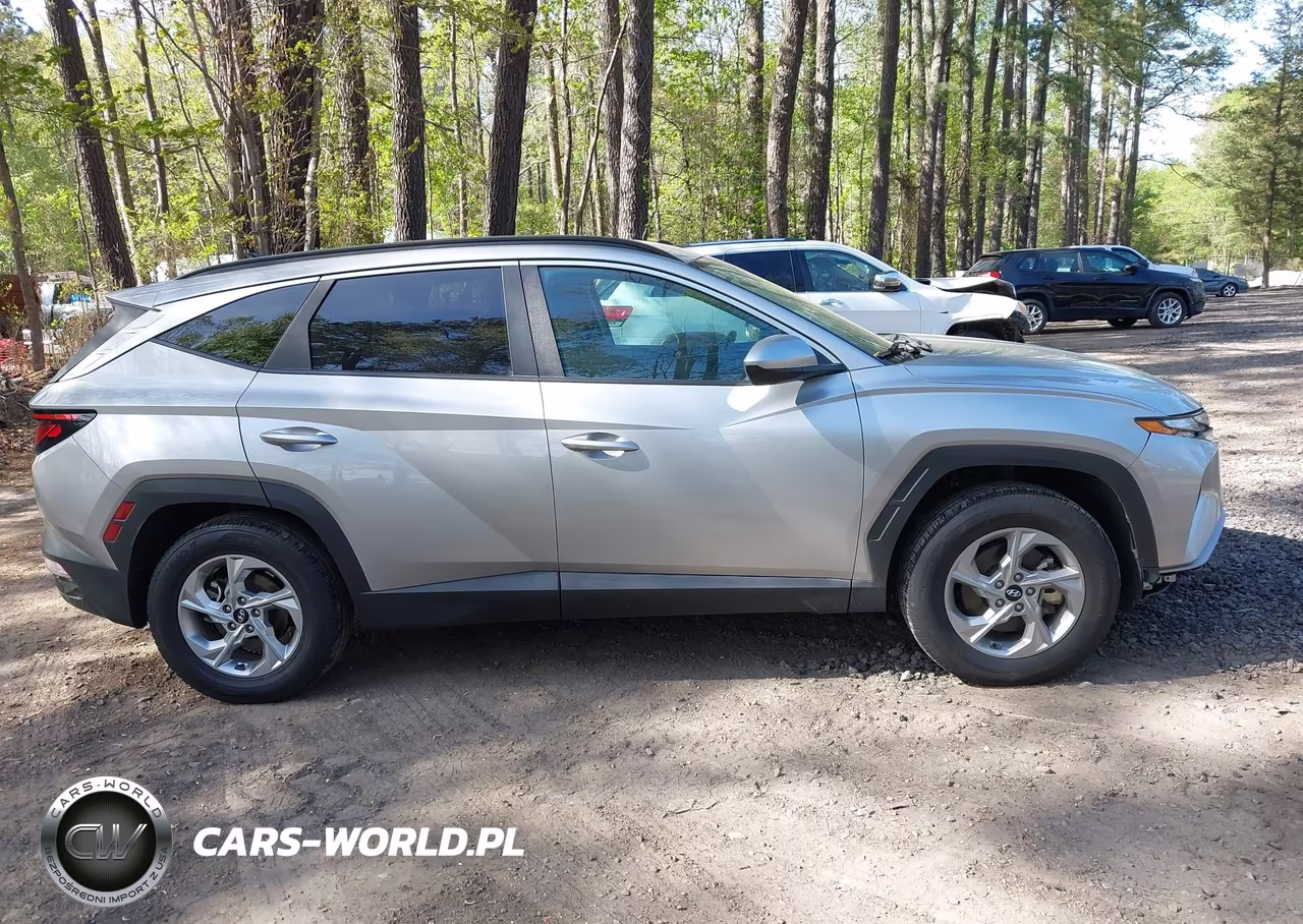 2024 Hyundai Tucson Sel VIN:5NMJBCDE3RH299485 - 13