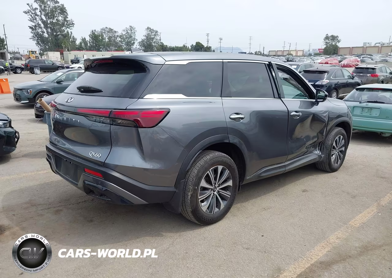 2025 Infiniti Qx60 Pure VIN:5N1AL1ER0SC346555 - 4