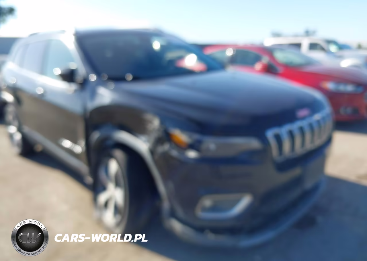 2019 Jeep Cherokee Limited 4X4 VIN:1C4PJMDX3KD304364 - 6