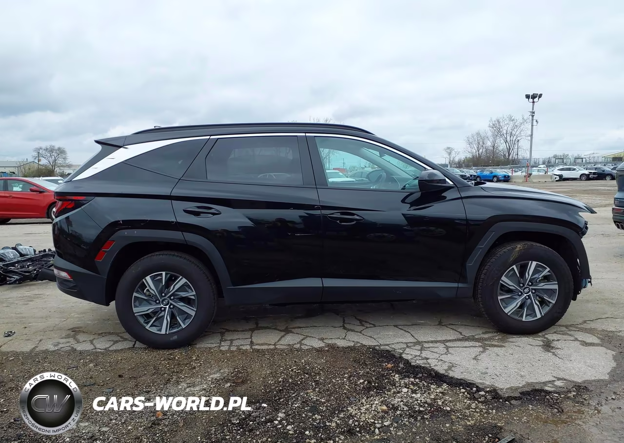 2024 Hyundai Tucson Hybrid Blue VIN:KM8JBCD18RU154847 - 14