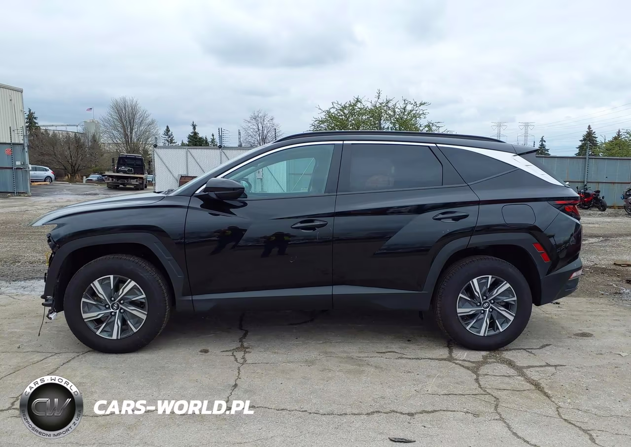 2024 Hyundai Tucson Hybrid Blue VIN:KM8JBCD18RU154847 - 15