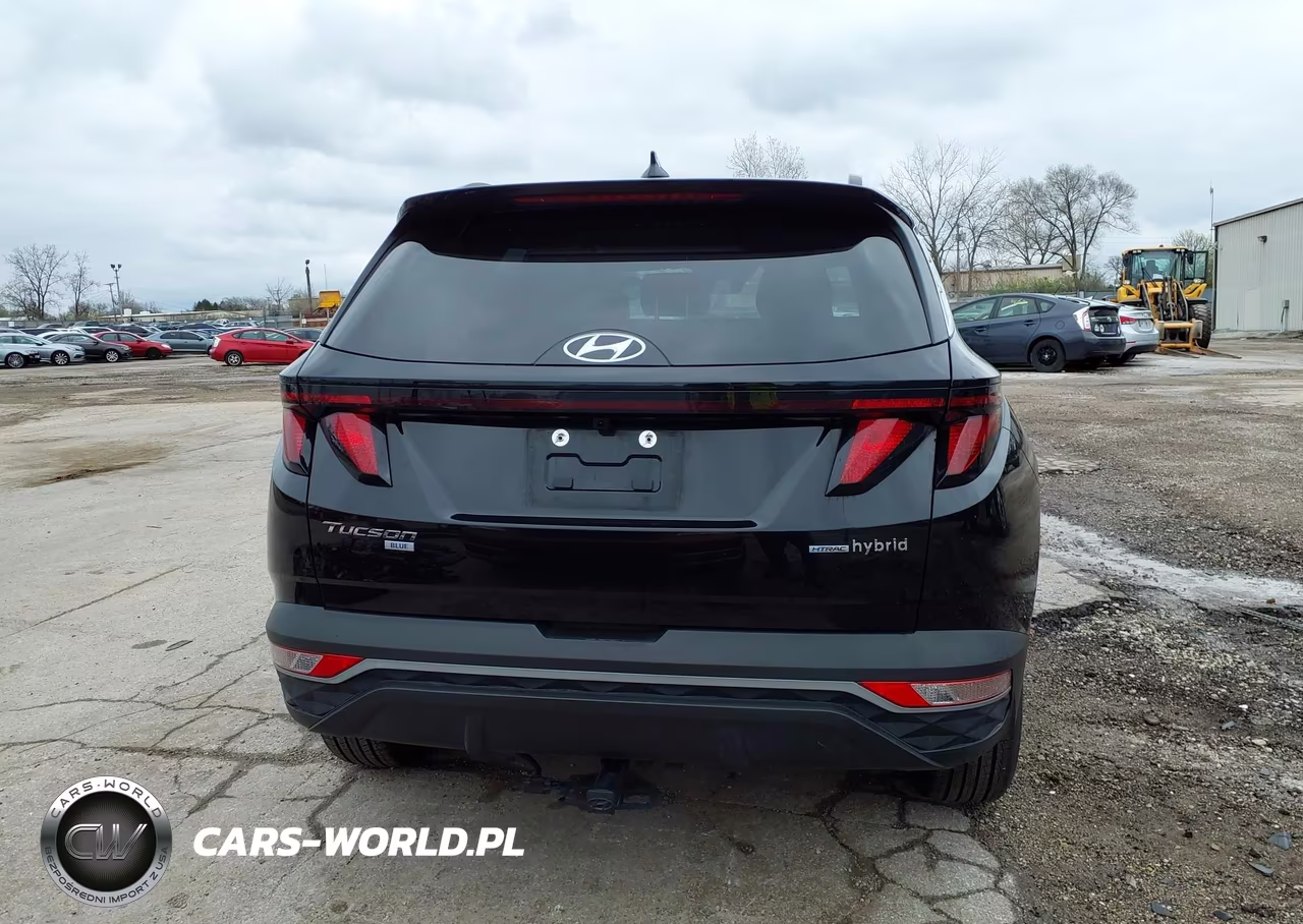 2024 Hyundai Tucson Hybrid Blue VIN:KM8JBCD18RU154847 - 17