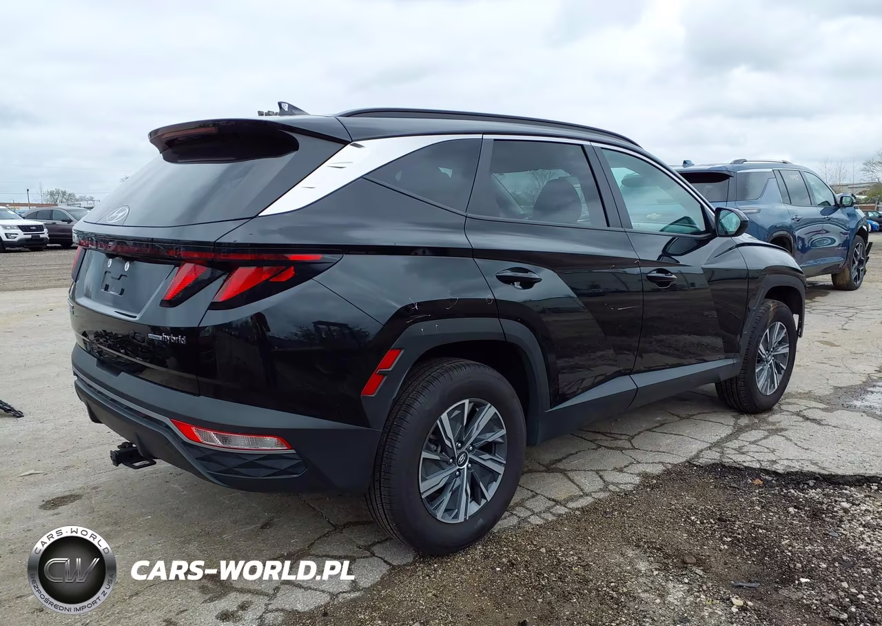 2024 Hyundai Tucson Hybrid Blue VIN:KM8JBCD18RU154847 - 4