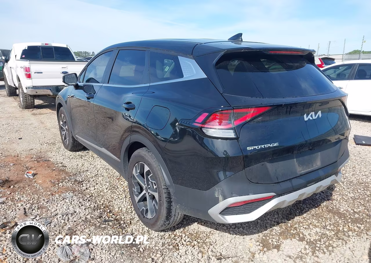 2025 Kia Sportage Ex VIN:5XYK33DF6SG273523 - 3