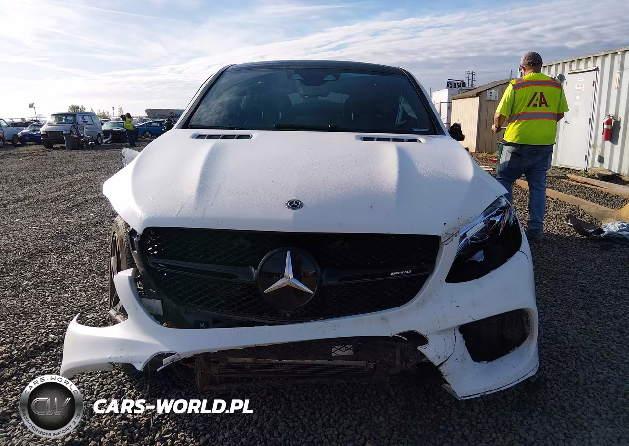 2019 Mercedes-Benz Amg Gle 43 Coupe 4Matic VIN:4JGED6EB9KA126034 - 13