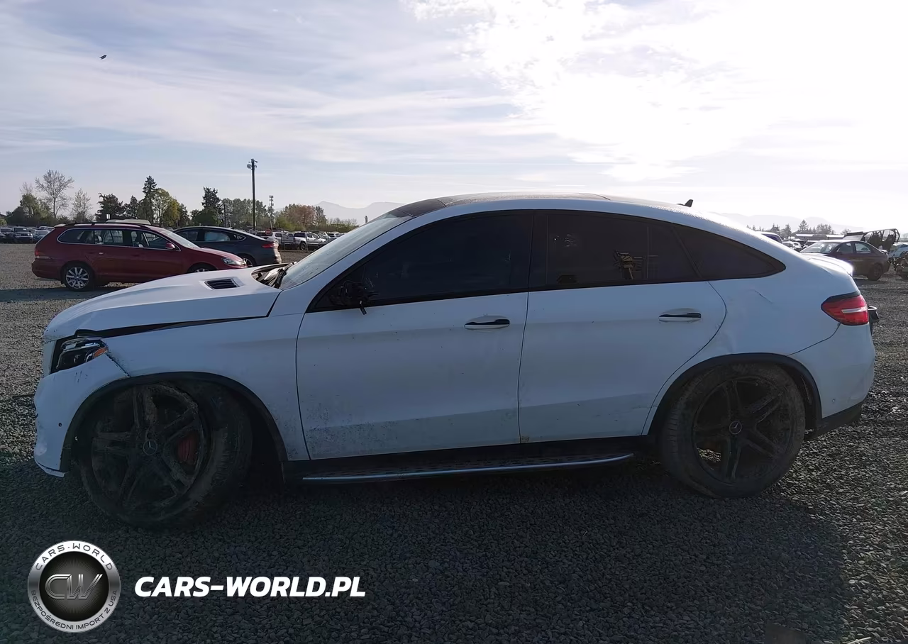2019 Mercedes-Benz Amg Gle 43 Coupe 4Matic VIN:4JGED6EB9KA126034 - 15