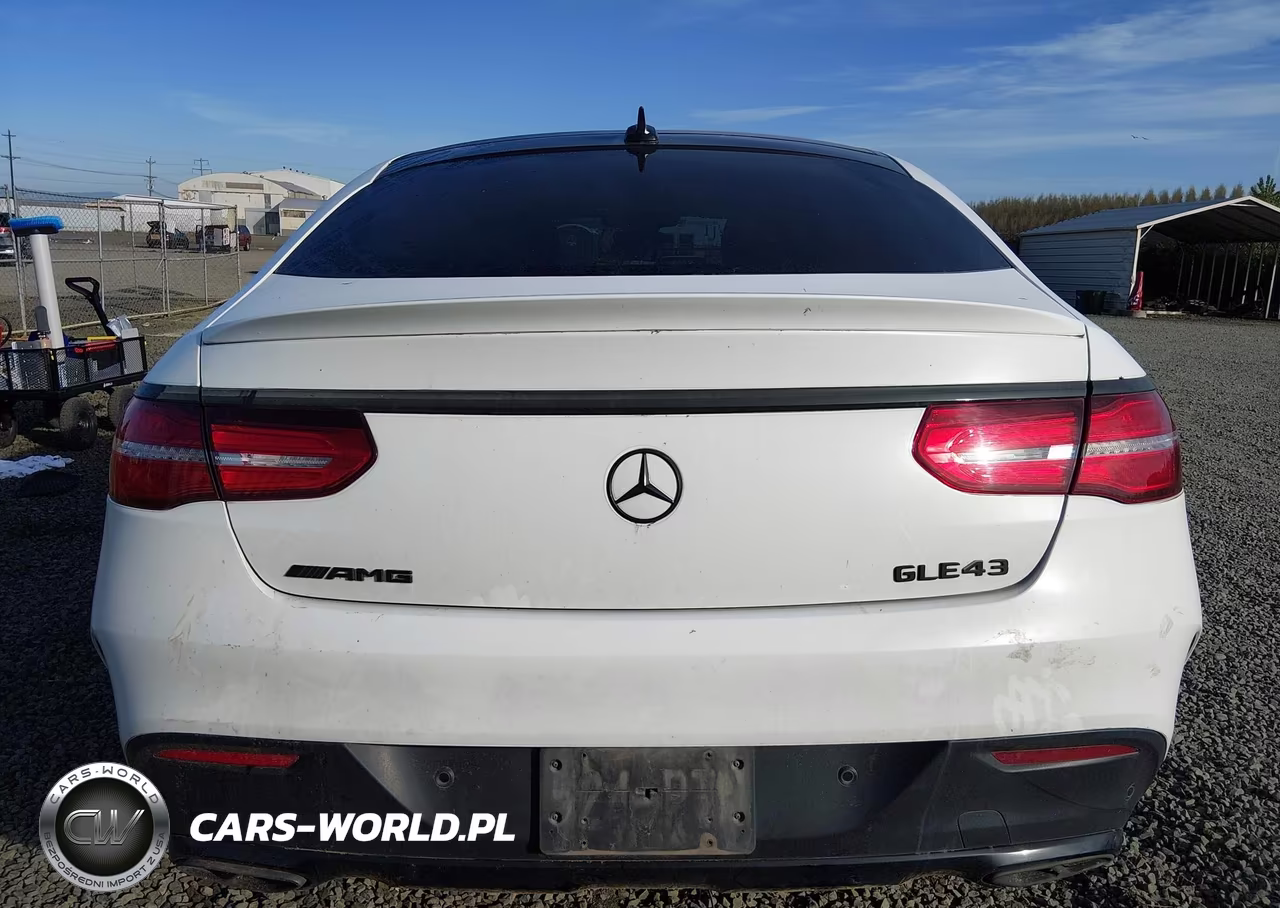 2019 Mercedes-Benz Amg Gle 43 Coupe 4Matic VIN:4JGED6EB9KA126034 - 17