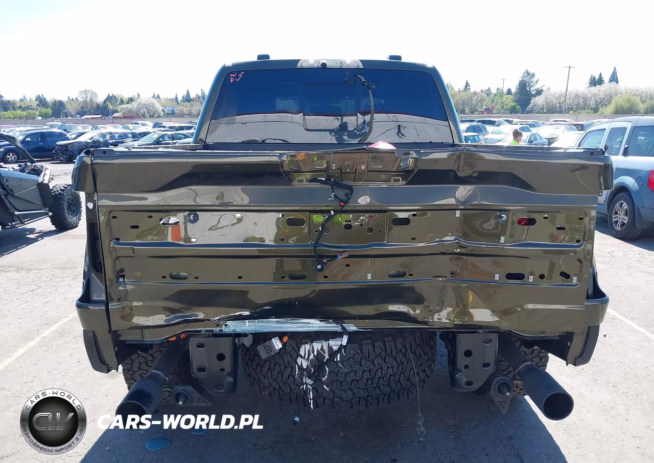 2025 Ford F-150 Raptor VIN:1FTFW1RG6SFB98517 - 17