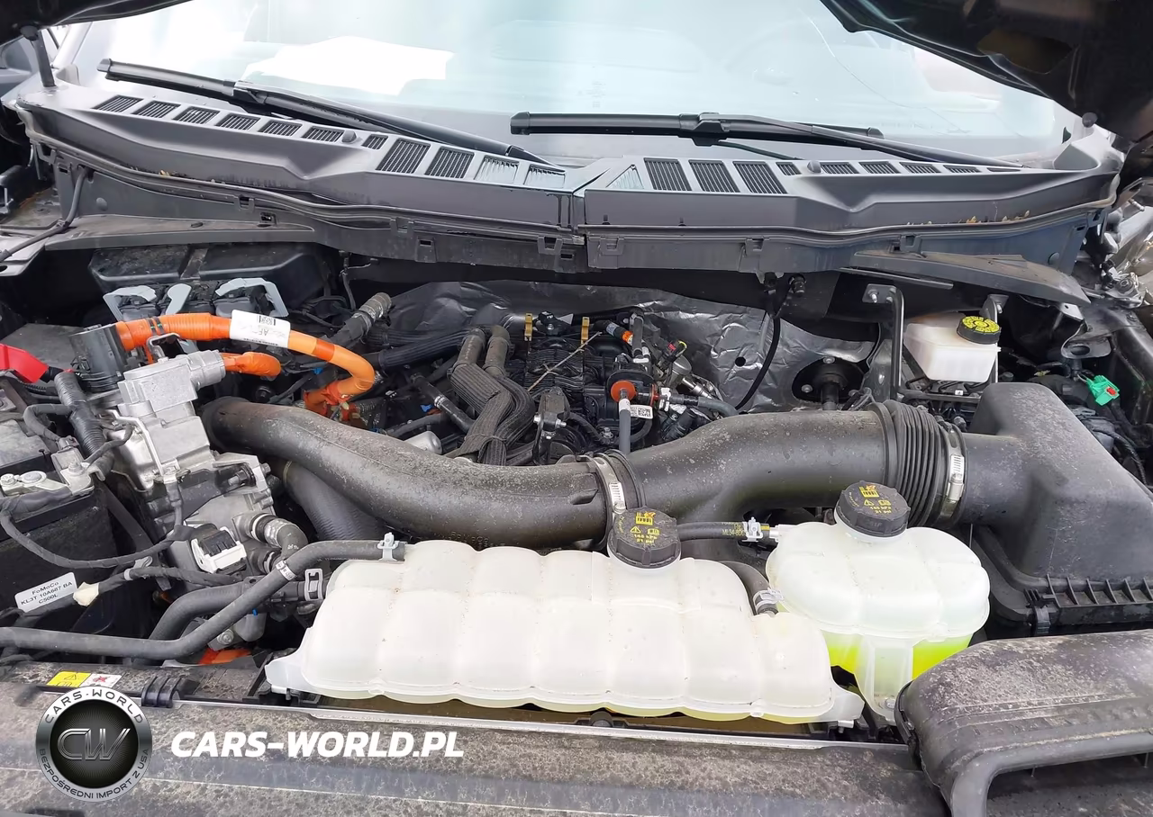 2024 Ford F-150 Xlt VIN:1FTFW3LD8RFA15302 - 10