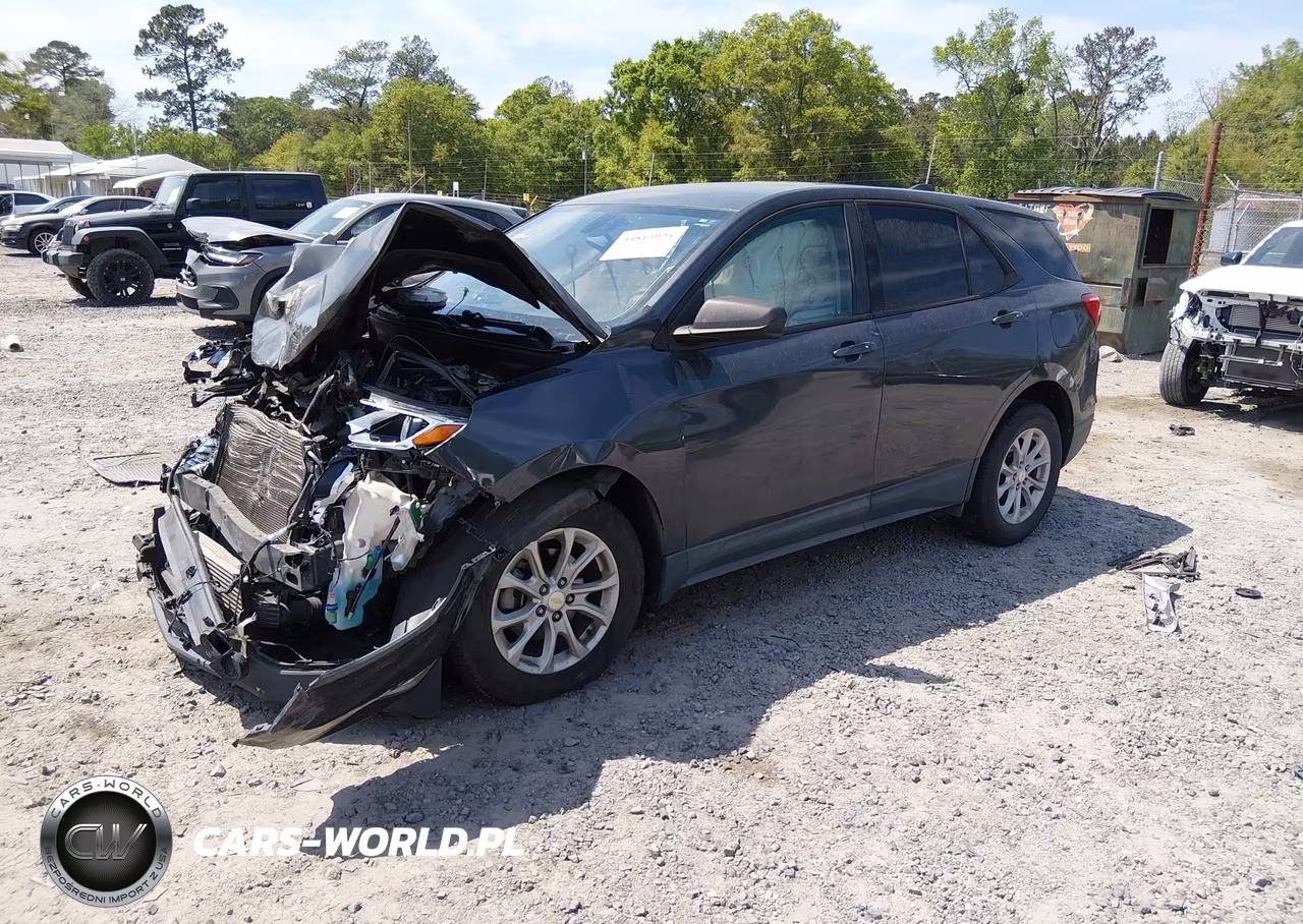 2019 Chevrolet Equinox Ls VIN:3GNAXHEV9KS671110 - 2