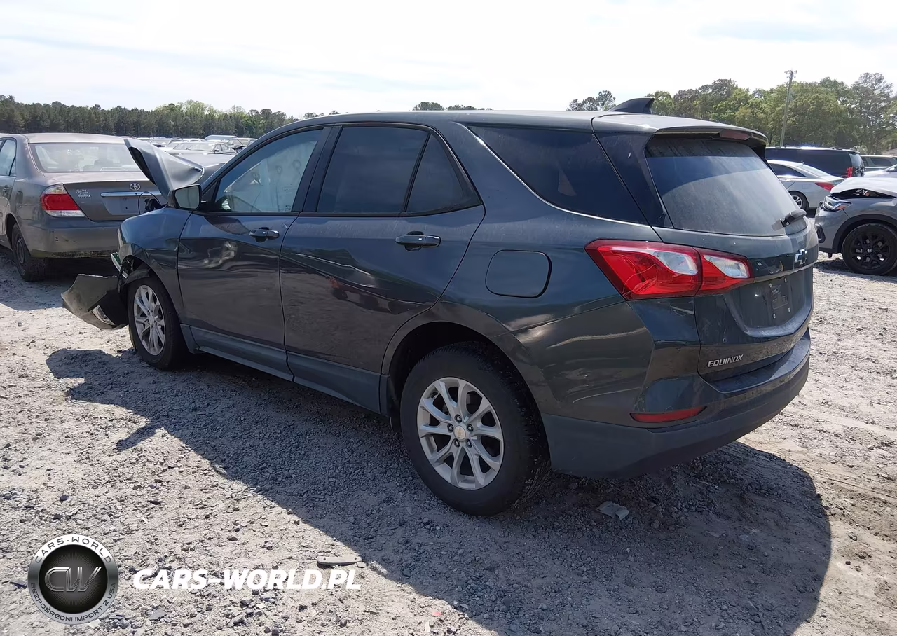 2019 Chevrolet Equinox Ls VIN:3GNAXHEV9KS671110 - 3