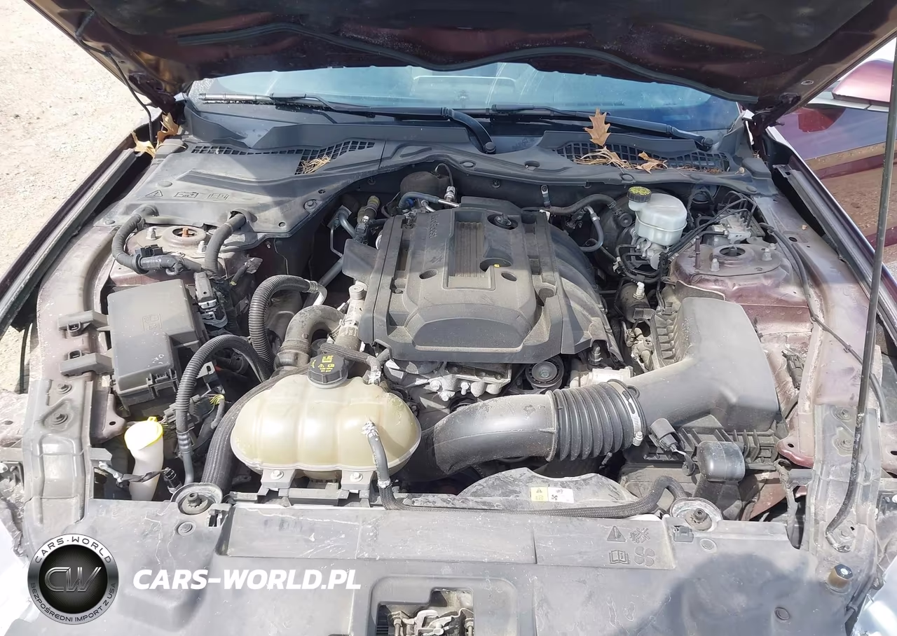2018 Ford Mustang Ecoboost VIN:1FA6P8TH1J5112077 - 10