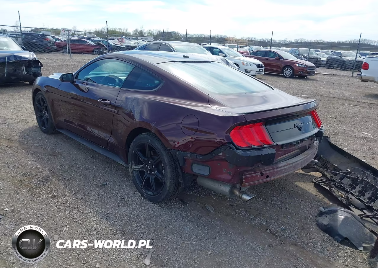 2018 Ford Mustang Ecoboost VIN:1FA6P8TH1J5112077 - 3