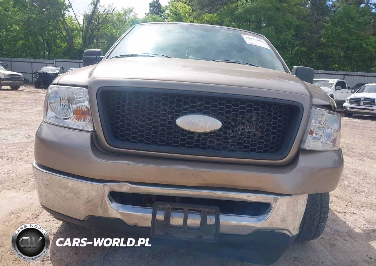2006 Ford F-150 Xlt VIN:1FTRW12W46KD15944 - 13