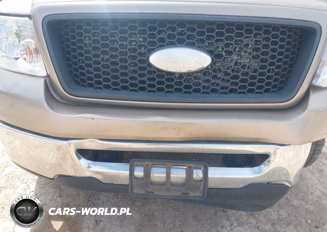 2006 Ford F-150 Xlt VIN:1FTRW12W46KD15944 - 18
