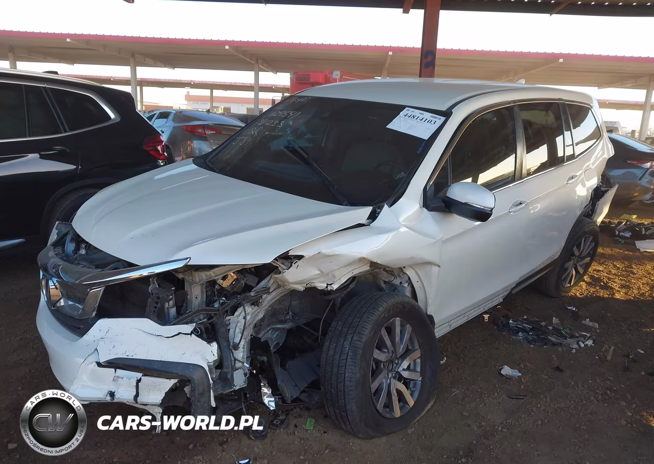 2019 Honda Pilot Ex VIN:5FNYF5H31KB025541 - 2