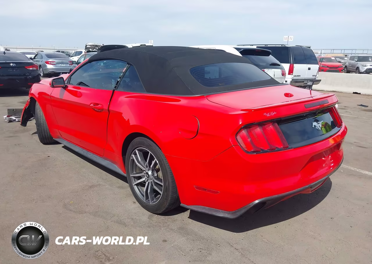 2017 Ford Mustang Ecoboost Premium VIN:1FATP8UH7H5254509 - 3