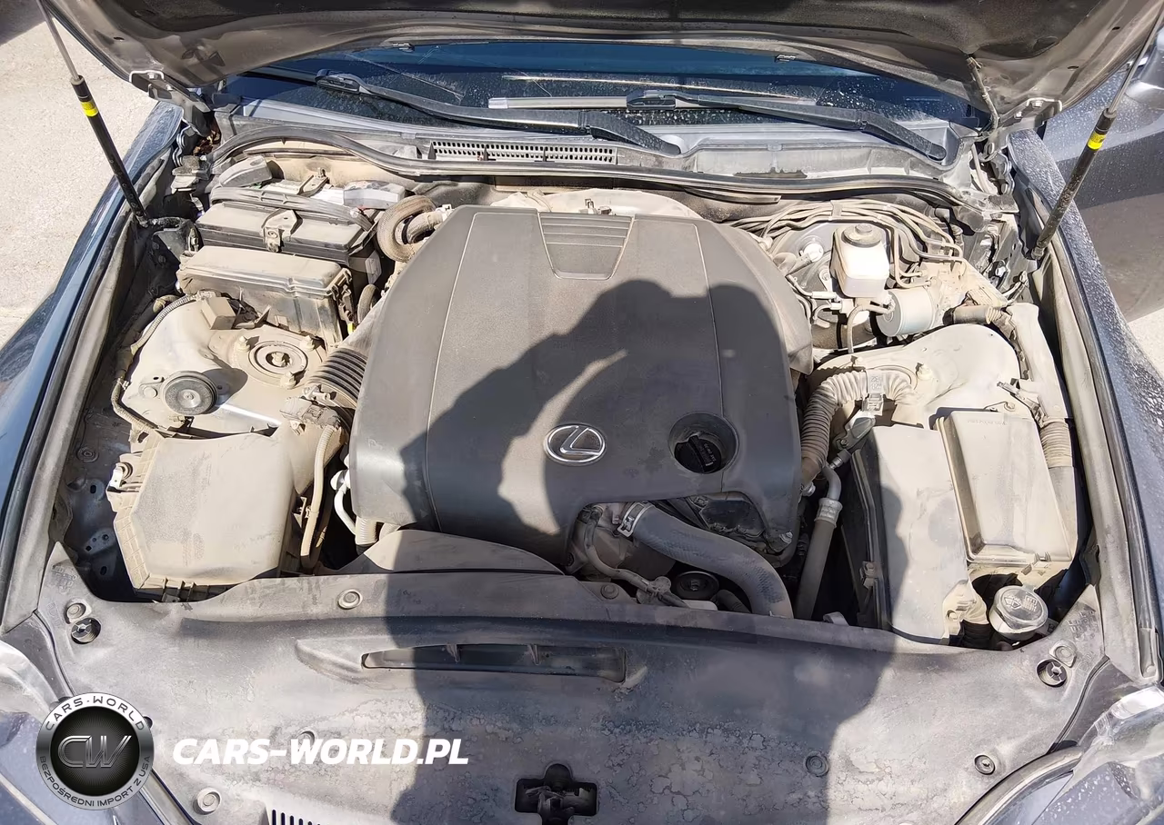 2014 Lexus Is 250 VIN:JTHBF1D29E5037064 - 10