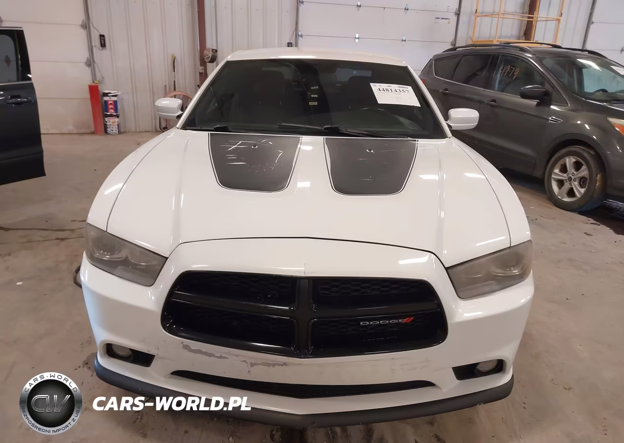 2014 Dodge Charger R-T Plus VIN:2C3CDXDT9EH114813 - 12