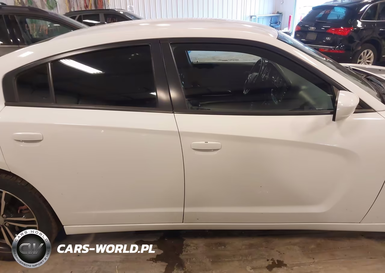 2014 Dodge Charger R-T Plus VIN:2C3CDXDT9EH114813 - 13