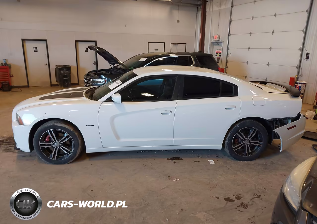 2014 Dodge Charger R-T Plus VIN:2C3CDXDT9EH114813 - 14