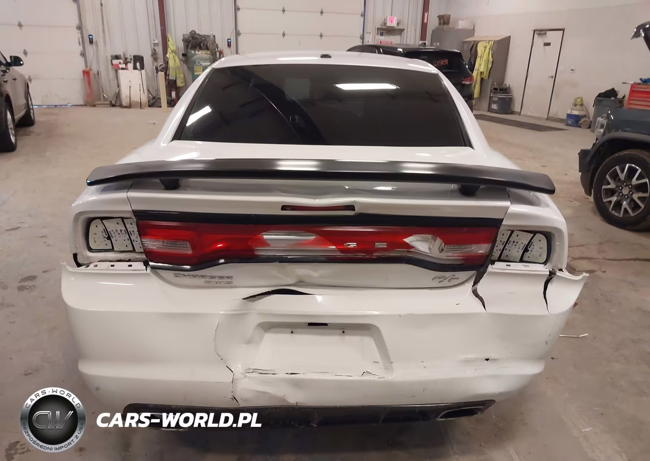 2014 Dodge Charger R-T Plus VIN:2C3CDXDT9EH114813 - 16