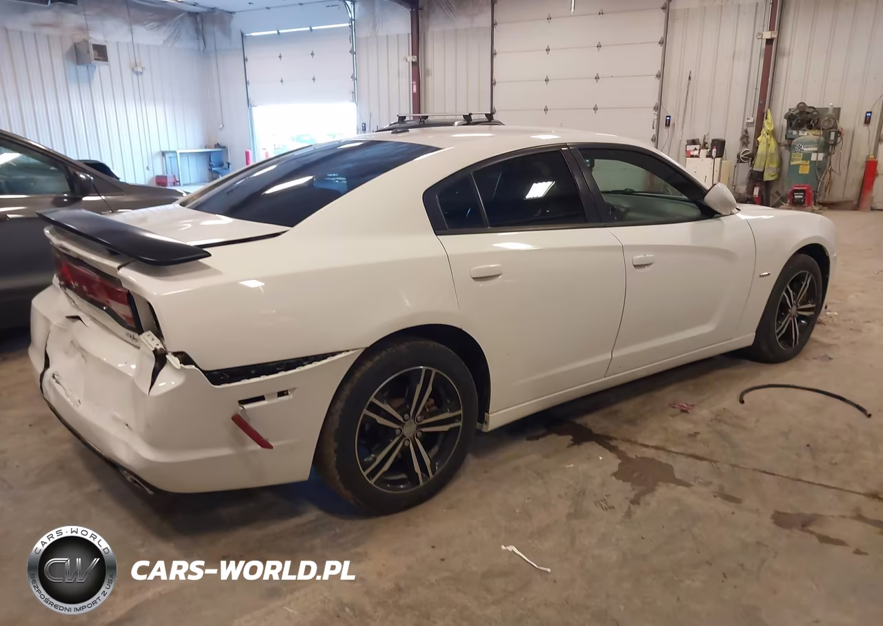 2014 Dodge Charger R-T Plus VIN:2C3CDXDT9EH114813 - 4