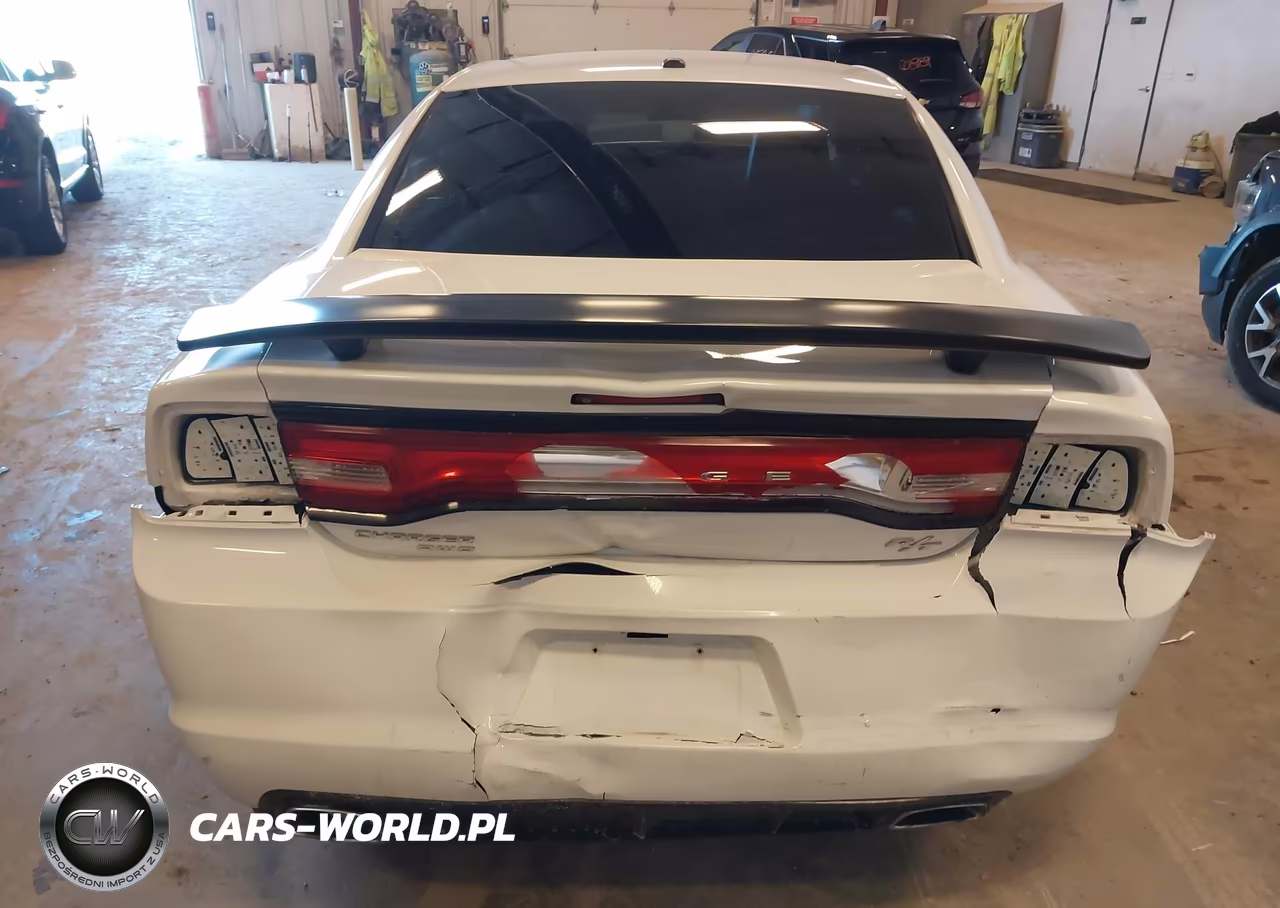 2014 Dodge Charger R-T Plus VIN:2C3CDXDT9EH114813 - 6